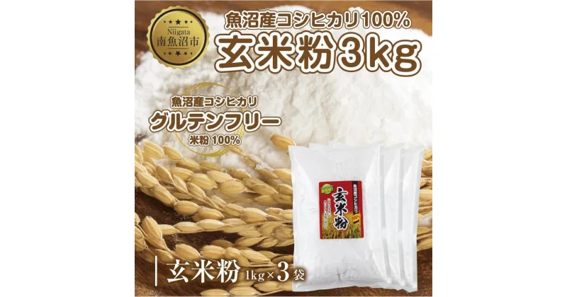 【ふるさと納税】玄米粉 1kg×3袋 計3kg 魚沼産 コシヒカリ 玄米 白米粉 グルテンフリー 小麦不使用 GABA アレルギー お取り寄せ パン ケーキ 菓子 ギフト 送料無料 コパフーズ 新潟県 南魚沼市 | 食品 加工食品 人気 おすすめ 送料無料