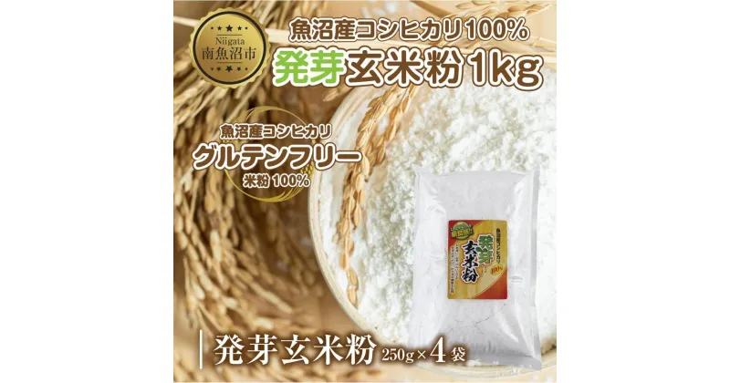 【ふるさと納税】魚沼産 コシヒカリ 発芽玄米粉 250g×4袋 計1kg 玄米 グルテンフリー 小麦不使用 アレルギー GABA お取り寄せ 菓子 パン ケーキ ギフト 送料無料 コパフーズ 新潟県 南魚沼市 | 食品 加工食品 人気 おすすめ 送料無料