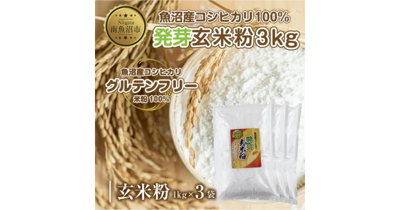 【ふるさと納税】魚沼産 コシヒカリ 発芽玄米粉 1kg×3袋 計3kg 玄米 グルテンフリー 小麦不使用 アレルギー GABA お取り寄せ 菓子 パン ケーキ ギフト 送料無料 コパフーズ 新潟県 南魚沼市 | 食品 加工食品 人気 おすすめ 送料無料