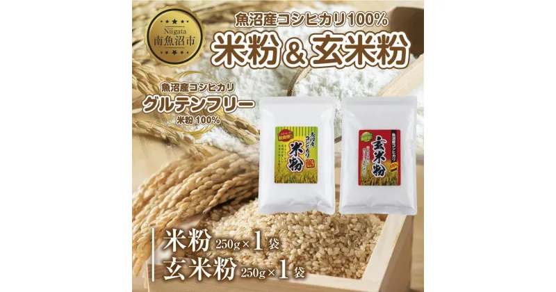 【ふるさと納税】新潟県産 米粉 玄米粉 セット 各250g 計500g 魚沼産 コシヒカリ 白米粉 アレルギー グルテンフリー GABA お取り寄せ 製菓 パン作り 製菓 送料無料 コパフーズ 新潟県 南魚沼市 | 食品 加工食品 人気 おすすめ 送料無料