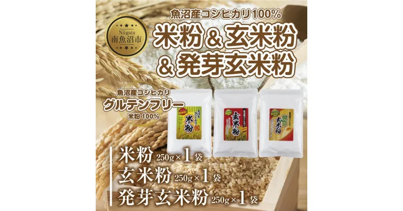 【ふるさと納税】新潟県産 米粉 発芽玄米粉 玄米粉 各250g 計750g 魚沼産 コシヒカリ 玄米 アレルギー グルテンフリー GABA お取り寄せ 製菓材料 パン作り 製菓 コパフーズ 新潟県 南魚沼市 | 食品 加工食品 人気 おすすめ 送料無料