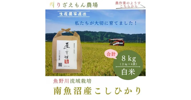 【ふるさと納税】《新米予約》白米8kg　令和6年産　南魚沼産　コシヒカリ　こしひかり　魚野川流域　匠 雲蝶(たくみ　うんちょう）＼生産農家直送／ | お米 こめ 白米 コシヒカリ 食品 人気 おすすめ 送料無料 魚沼 南魚沼 南魚沼市