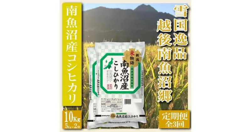 【ふるさと納税】米 定期便 コシヒカリ 南魚沼産 30kg ( 10kg × 3ヶ月 ) 雪国逸品 越後南魚沼郷 | お米 こめ 白米 コシヒカリ 食品 人気 おすすめ 送料無料 魚沼 南魚沼 南魚沼市 新潟県産 新潟県 精米 産直 産地直送 お取り寄せ お楽しみ