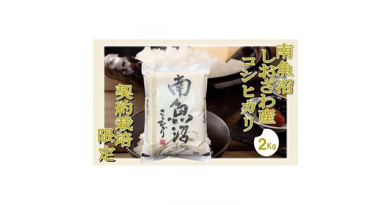 【ふるさと納税】【精米2Kg】契約栽培限定 南魚沼しおざわ産コシヒカリ | お米 こめ 白米 コシヒカリ 食品 人気 おすすめ 送料無料 魚沼 南魚沼 南魚沼市 新潟県産 新潟県 精米 産直 産地直送 お取り寄せ