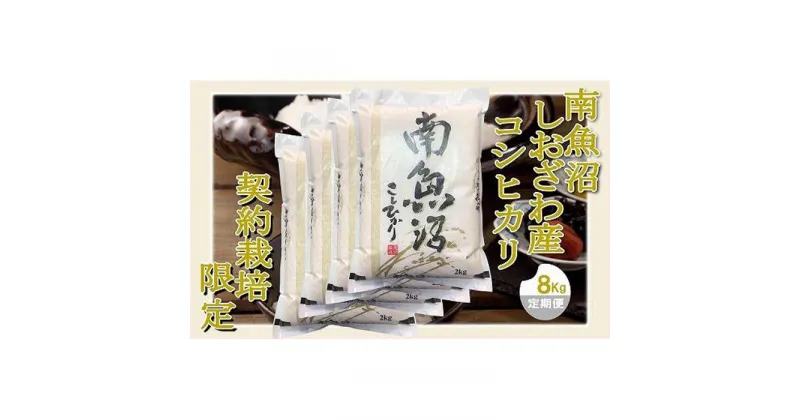 【ふるさと納税】【定期便 精米8Kg×3ヶ月】契約栽培限定 南魚沼しおざわ産コシヒカリ | お米 こめ 白米 コシヒカリ 食品 人気 おすすめ 送料無料 魚沼 南魚沼 南魚沼市 新潟県産 新潟県 精米 産直 産地直送 お取り寄せ お楽しみ