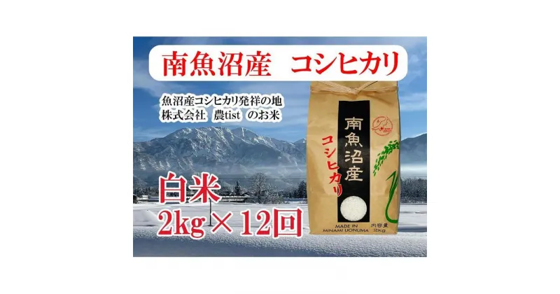 【ふるさと納税】【定期便 南魚沼産】コシヒカリ 白米2kg×12回 | お米 こめ 白米 食品 人気 おすすめ 送料無料