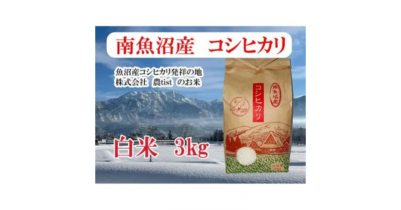 【ふるさと納税】【南魚沼産】コシヒカリ 白米3kg | お米 こめ 白米 食品 人気 おすすめ 送料無料