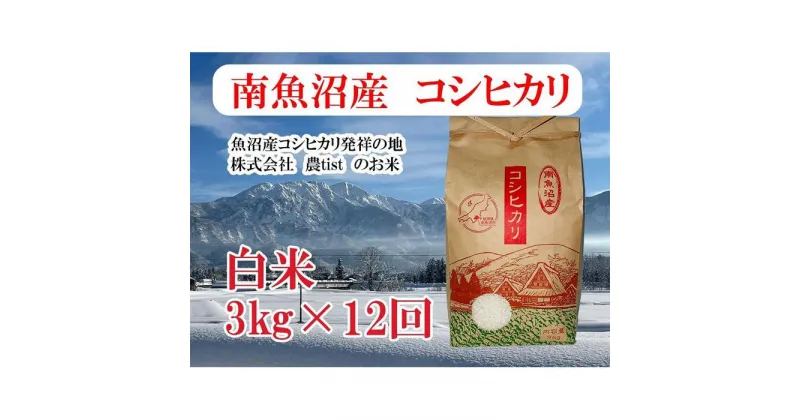 【ふるさと納税】【定期便 南魚沼産】コシヒカリ 白米3kg×12回 | お米 こめ 白米 食品 人気 おすすめ 送料無料