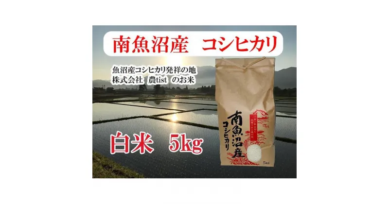 【ふるさと納税】【南魚沼産】コシヒカリ 白米5kg | お米 こめ 白米 食品 人気 おすすめ 送料無料