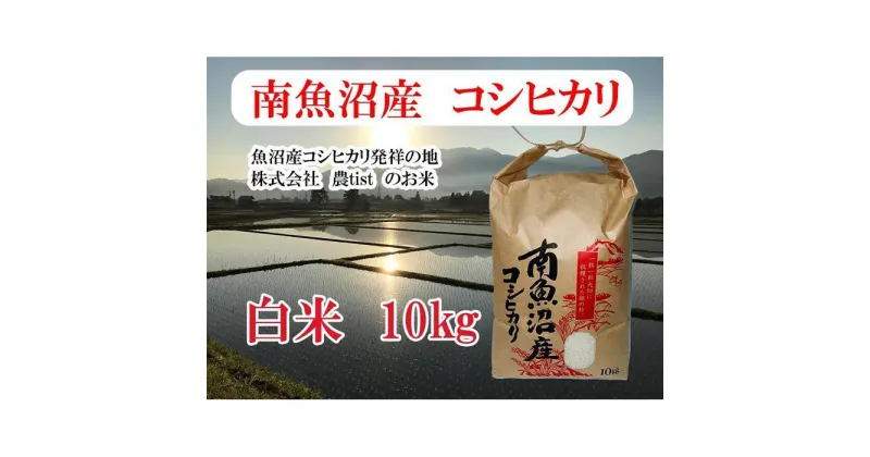 【ふるさと納税】【南魚沼産】コシヒカリ 白米10kg | お米 こめ 白米 食品 人気 おすすめ 送料無料