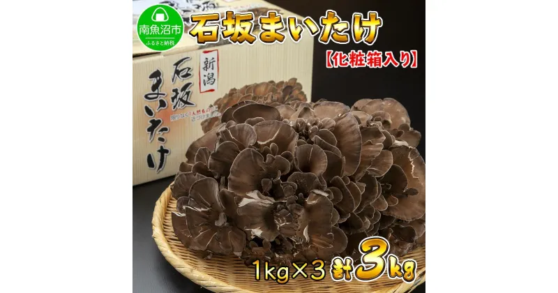 【ふるさと納税】新潟県 南魚沼産 厳選 国産 石坂 高級 舞茸 産地直送 1kg ×3箱 計3kg 石坂きのこ | 野菜 やさい 食品 人気 おすすめ 送料無料