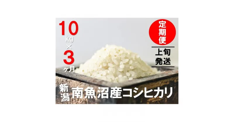 【ふるさと納税】【上旬発送】【6年産新米で始まる定期便】10kg×3ヶ月　南魚沼産コシヒカリ | お米 こめ 白米 食品 人気 おすすめ 送料無料