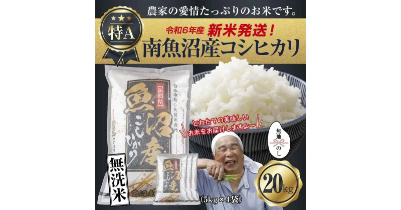 【ふるさと納税】【新米発送】無地のし 「無洗米」 令和6年産 新潟県 南魚沼産 コシヒカリ お米 5kg×4袋 計 20kg 精米済み（お米の美味しい炊き方ガイド付き） お米 こめ 白米 新米 こしひかり 魚沼 南魚沼 南魚沼市 新潟県産 新潟県 産地直送