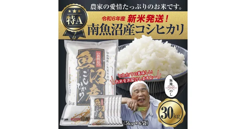 【ふるさと納税】【新米発送】「無地のし」 令和6年産 新潟県 南魚沼産 コシヒカリ お米 5kg×6袋 計 30kg 精米済み（お米の美味しい炊き方ガイド付き） お米 こめ 白米 新米 こしひかり 食品 人気 おすすめ 魚沼 南魚沼 南魚沼市 新潟県産 新潟県 精米 産直 産地直送