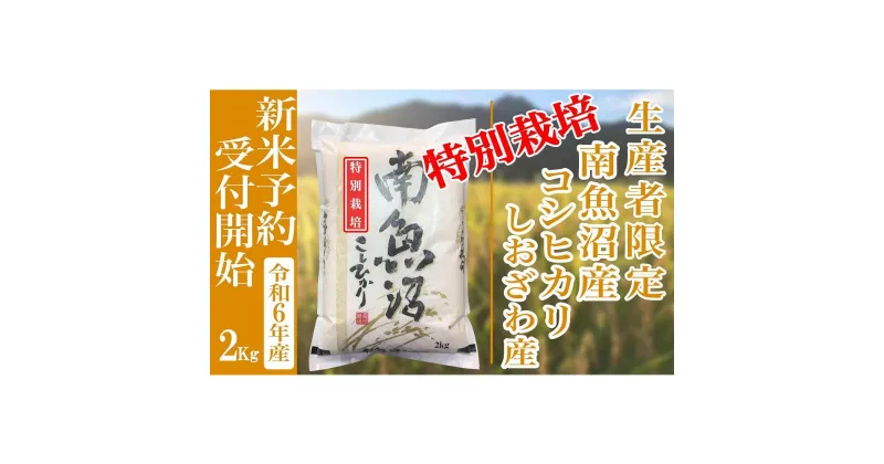 【ふるさと納税】【新米予約・令和6年産】精米2Kg 【特別栽培】生産者限定 南魚沼しおざわ産コシヒカリ | お米 こめ 白米 コシヒカリ 食品 人気 おすすめ 送料無料 魚沼 南魚沼 南魚沼市 新潟県産 新潟県 精米 産直 産地直送 お取り寄せ お楽しみ