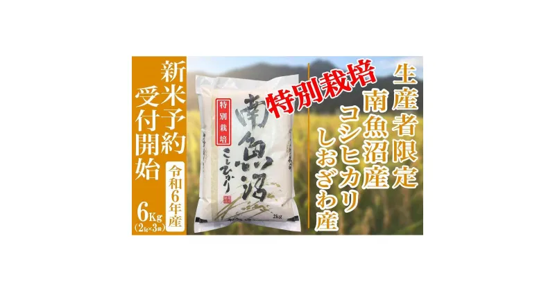 【ふるさと納税】【新米予約・令和6年産】精米6Kg 【特別栽培】生産者限定 南魚沼しおざわ産コシヒカリ | お米 こめ 白米 コシヒカリ 食品 人気 おすすめ 送料無料 魚沼 南魚沼 南魚沼市 新潟県産 新潟県 精米 産直 産地直送 お取り寄せ お楽しみ