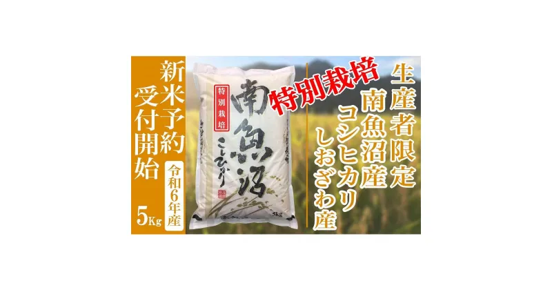 【ふるさと納税】【新米予約・令和6年産】精米5Kg 【特別栽培】生産者限定 南魚沼しおざわ産コシヒカリ | お米 こめ 白米 コシヒカリ 食品 人気 おすすめ 送料無料 魚沼 南魚沼 南魚沼市 新潟県産 新潟県 精米 産直 産地直送 お取り寄せ お楽しみ