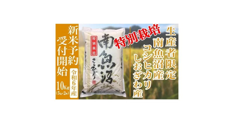 【ふるさと納税】【新米予約・令和6年産】精米10Kg 【特別栽培】生産者限定 南魚沼しおざわ産コシヒカリ | お米 こめ 白米 コシヒカリ 食品 人気 おすすめ 送料無料 魚沼 南魚沼 南魚沼市 新潟県産 新潟県 精米 産直 産地直送 お取り寄せ お楽しみ