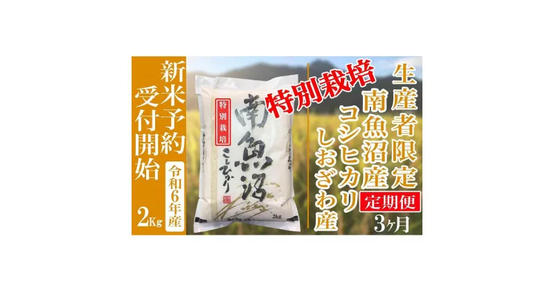 【ふるさと納税】【新米予約・令和6年産】定期便3ヶ月：精米2Kg【特別栽培】生産者限定 南魚沼しおざわ産コシヒカリ | お米 こめ 白米 コシヒカリ 食品 人気 おすすめ 送料無料 魚沼 南魚沼 南魚沼市 新潟県産 新潟県 精米 産直 産地直送 お取り寄せ お楽しみ