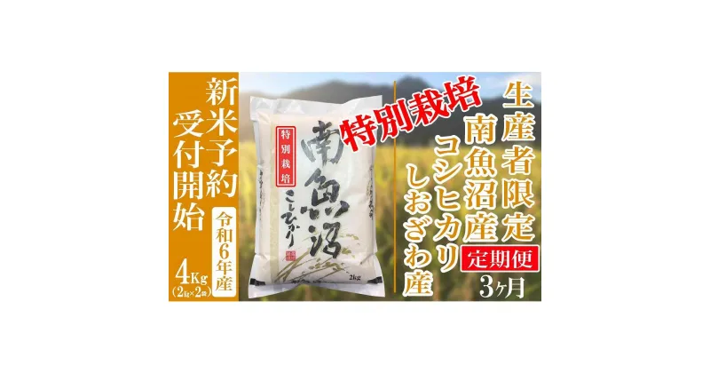 【ふるさと納税】【新米予約・令和6年産】定期便3ヶ月：精米4Kg 【特別栽培】生産者限定 南魚沼しおざわ産コシヒカリ | お米 こめ 白米 コシヒカリ 食品 人気 おすすめ 送料無料 魚沼 南魚沼 南魚沼市 新潟県産 新潟県 精米 産直 産地直送 お取り寄せ お楽しみ