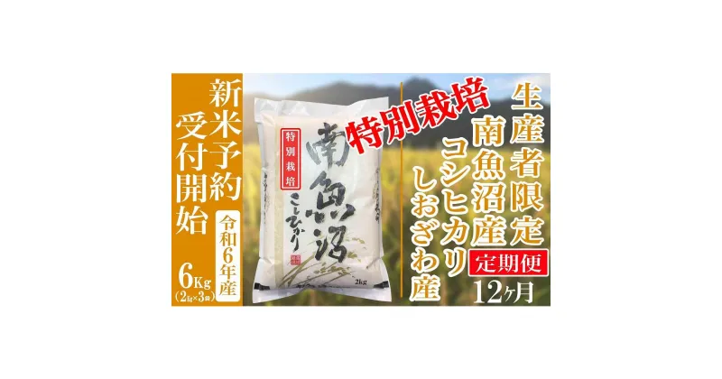 【ふるさと納税】【新米予約・令和6年産】定期便12ヶ月：精米6Kg 【特別栽培】生産者限定 南魚沼しおざわ産コシヒカリ | お米 こめ 白米 コシヒカリ 食品 人気 おすすめ 送料無料 魚沼 南魚沼 南魚沼市 新潟県産 新潟県 精米 産直 産地直送 お取り寄せ お楽しみ