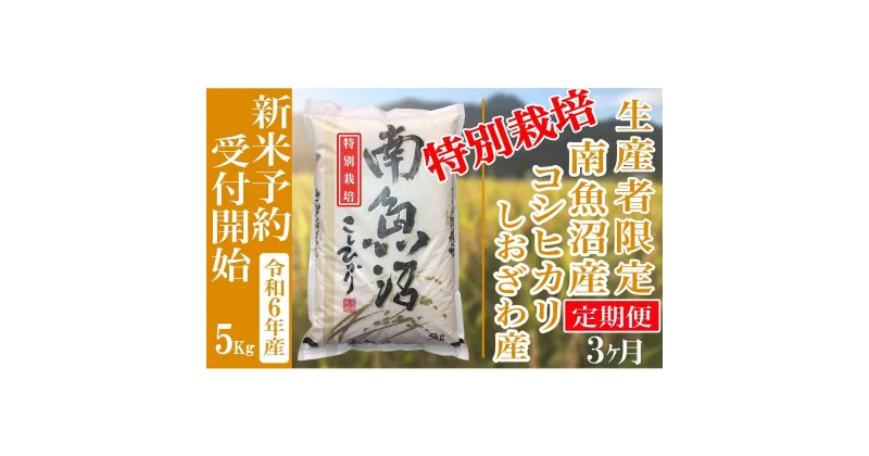 【ふるさと納税】【新米予約・令和6年産】定期便3ヶ月：精米5Kg 【特別栽培】生産者限定 南魚沼しおざわ産コシヒカリ | お米 こめ 白米 コシヒカリ 食品 人気 おすすめ 送料無料 魚沼 南魚沼 南魚沼市 新潟県産 新潟県 精米 産直 産地直送 お取り寄せ お楽しみ