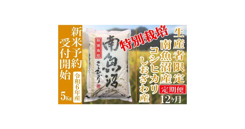 【ふるさと納税】【新米予約・令和6年産】定期便12ヶ月：精米5Kg 【特別栽培】生産者限定 南魚沼しおざわ産コシヒカリ | お米 こめ 白米 コシヒカリ 食品 人気 おすすめ 送料無料 魚沼 南魚沼 南魚沼市 新潟県産 新潟県 精米 産直 産地直送 お取り寄せ お楽しみ