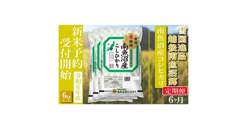 【ふるさと納税】【新米予約・令和6年産】定期便 精米6Kg×全6回 越後南魚沼郷 南魚沼産コシヒカリ | お米 こめ 白米 食品 人気 おすすめ 送料無料