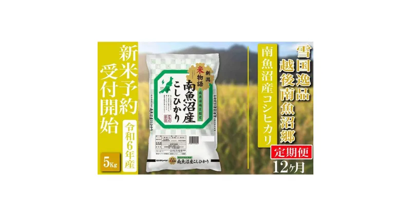 【ふるさと納税】【新米予約・令和6年産】定期便 精米5Kg×全12回 越後南魚沼郷 南魚沼産コシヒカリ | お米 こめ 白米 食品 人気 おすすめ 送料無料