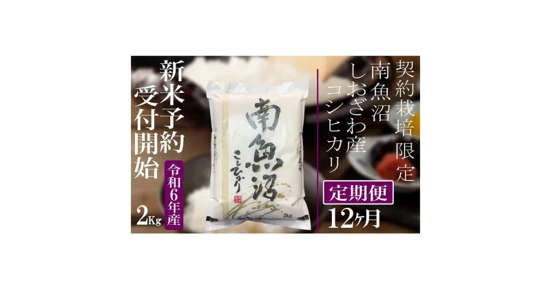 【ふるさと納税】【新米予約・令和6年産】定期便12ヶ月：精米2Kg 契約栽培限定 南魚沼しおざわ産コシヒカリ | お米 こめ 白米 食品 人気 おすすめ 送料無料