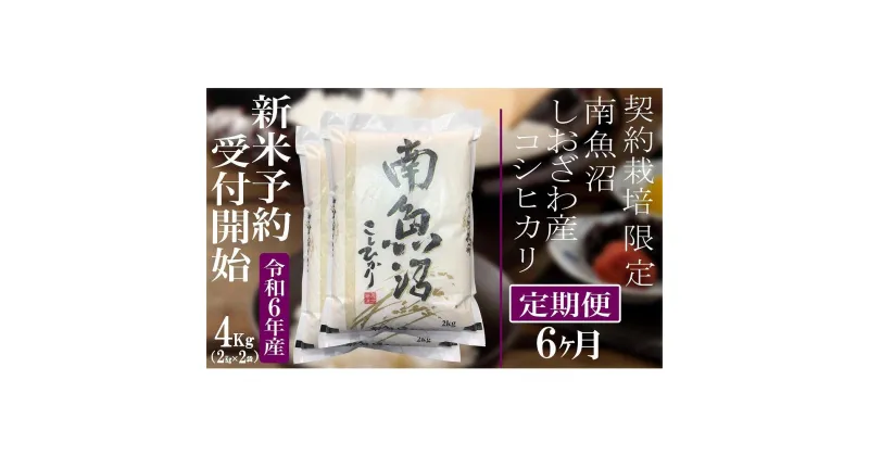 【ふるさと納税】【新米予約・令和6年産】定期便6ヶ月：精米4Kg 契約栽培限定 南魚沼しおざわ産コシヒカリ | お米 こめ 白米 食品 人気 おすすめ 送料無料