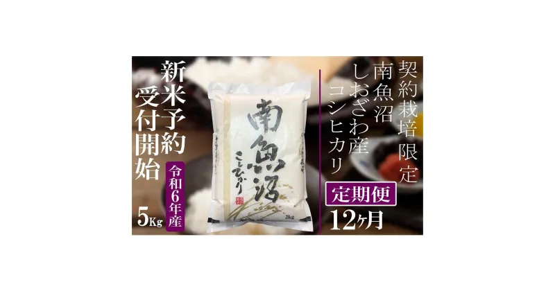 【ふるさと納税】【新米予約・令和6年産】定期便12ヶ月：精米5Kg 契約栽培限定 南魚沼しおざわ産コシヒカリ | お米 こめ 白米 食品 人気 おすすめ 送料無料