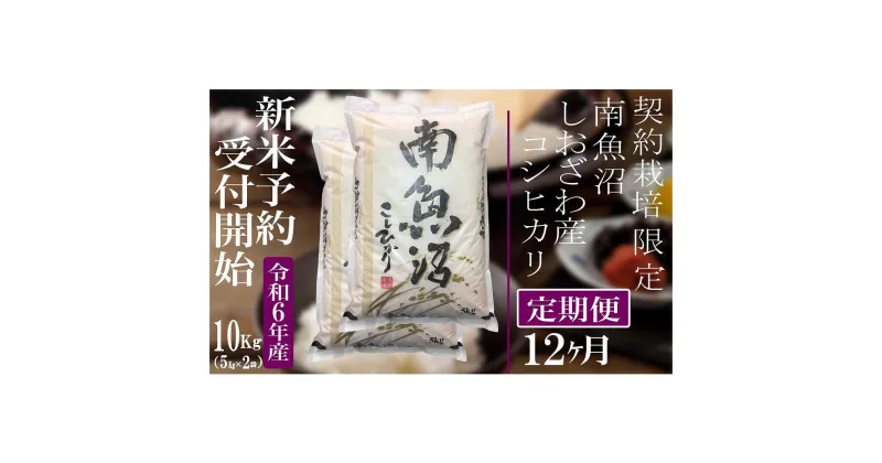 【ふるさと納税】【新米予約・令和6年産】定期便12ヶ月：精米10Kg 契約栽培限定 南魚沼しおざわ産コシヒカリ | お米 こめ 白米 食品 人気 おすすめ 送料無料