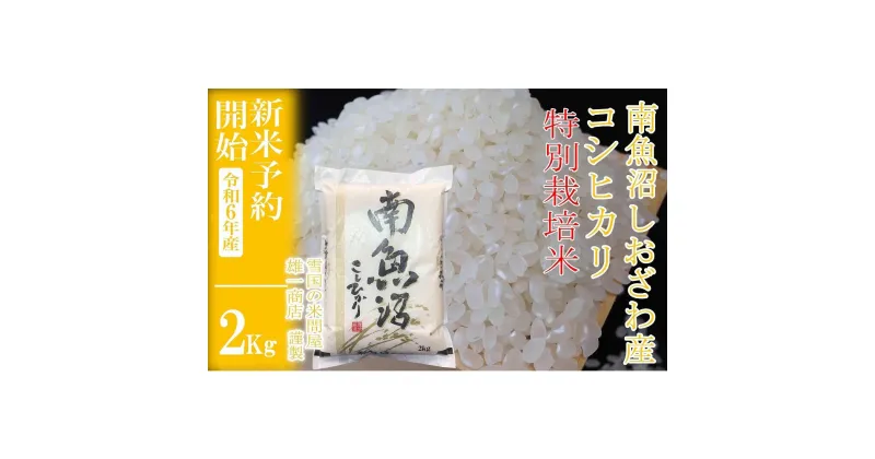 【ふるさと納税】【新米予約・令和6年産】精米2Kg ※特別栽培※生産者限定 南魚沼しおざわ産コシヒカリ | お米 こめ 白米 食品 人気 おすすめ 送料無料