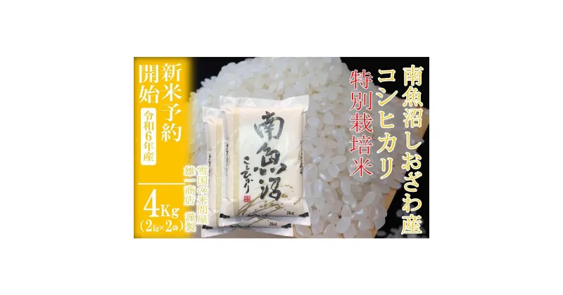 【ふるさと納税】【新米予約・令和6年産】精米4Kg ※特別栽培※生産者限定 南魚沼しおざわ産コシヒカリ | お米 こめ 白米 食品 人気 おすすめ 送料無料