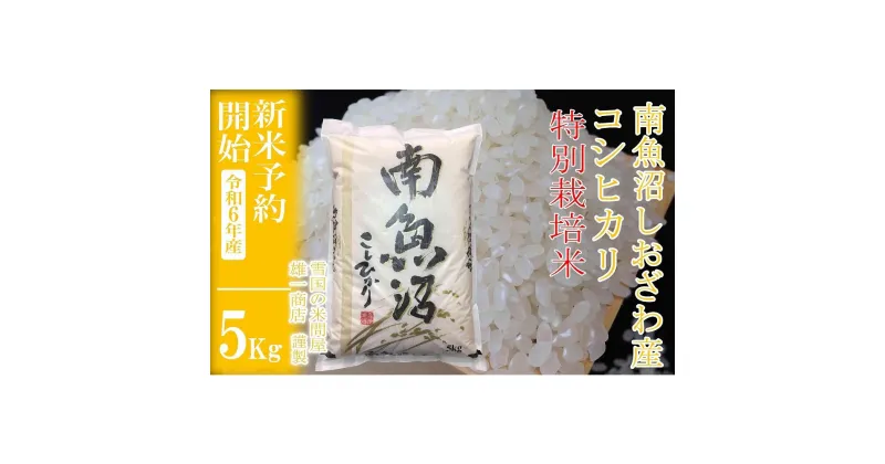 【ふるさと納税】【新米予約・令和6年産】精米5Kg ※特別栽培※生産者限定 南魚沼しおざわ産コシヒカリ | お米 こめ 白米 食品 人気 おすすめ 送料無料