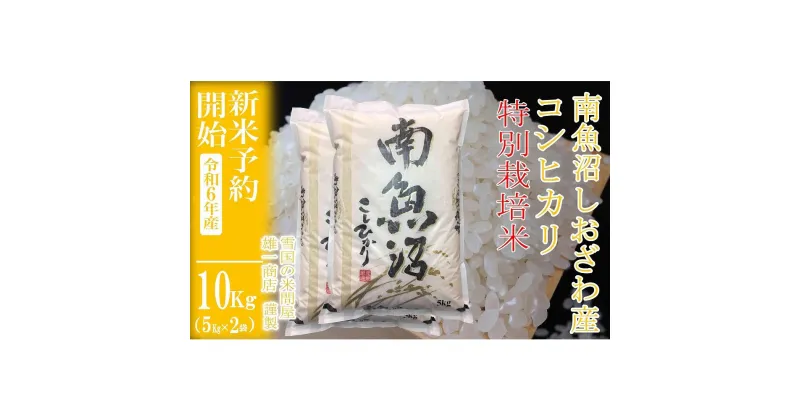 【ふるさと納税】【新米予約・令和6年産】精米10Kg ※特別栽培※生産者限定 南魚沼しおざわ産コシヒカリ | お米 こめ 白米 食品 人気 おすすめ 送料無料