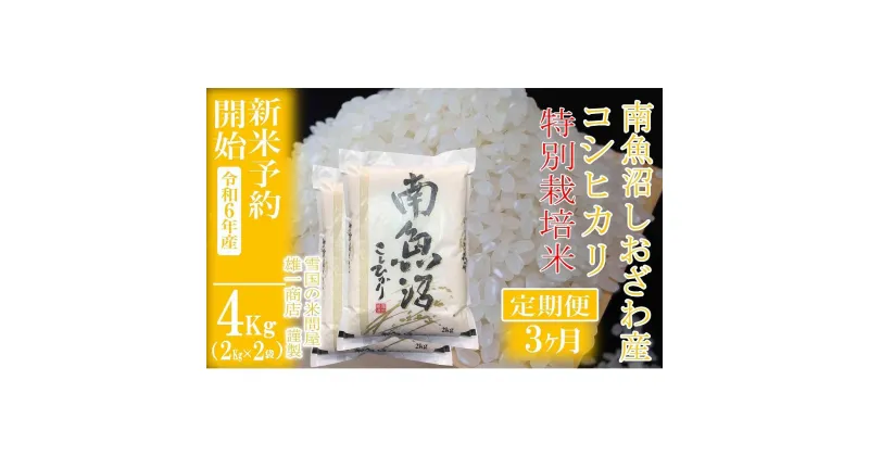 【ふるさと納税】【新米予約・令和6年産】定期便3ヶ月：精米4Kg ※特別栽培※生産者限定 南魚沼しおざわ産コシヒカリ | お米 こめ 白米 食品 人気 おすすめ 送料無料