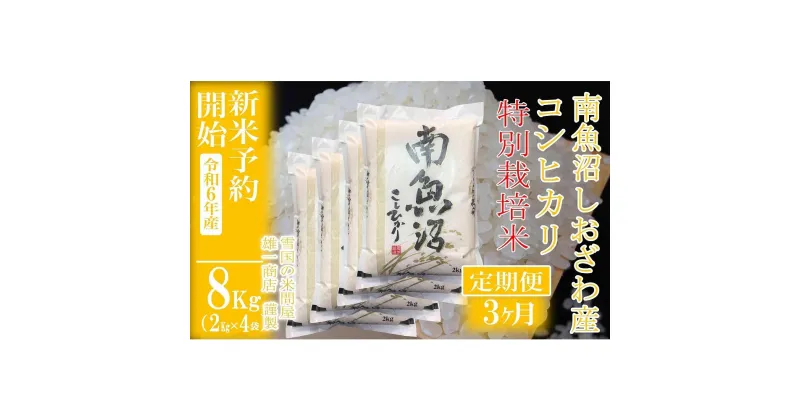 【ふるさと納税】【新米予約・令和6年産】定期便3ヶ月：精米8Kg※特別栽培※ 生産者限定 南魚沼しおざわ産コシヒカリ | お米 こめ 白米 食品 人気 おすすめ 送料無料