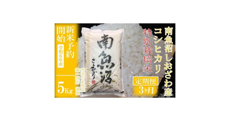 【ふるさと納税】【新米予約・令和6年産】定期便3ヶ月：精米5Kg ※特別栽培※生産者限定 南魚沼しおざわ産コシヒカリ | お米 こめ 白米 食品 人気 おすすめ 送料無料