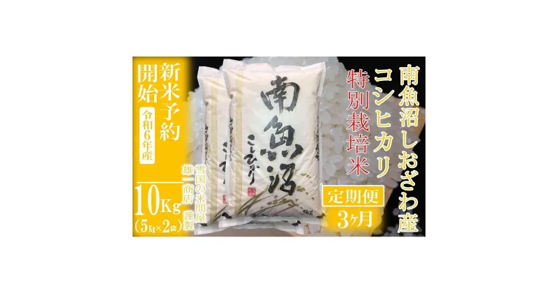 【ふるさと納税】【新米予約・令和6年産】定期便3ヶ月：精米10Kg※特別栽培※ 生産者限定 南魚沼しおざわ産コシヒカリ | お米 こめ 白米 食品 人気 おすすめ 送料無料