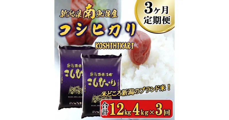 【ふるさと納税】【令和6年産新米予約／令和6年11月上旬より順次発送】【F-3定期便】南魚沼産コシヒカリ4kg×3回 | お米 こめ 白米 食品 人気 おすすめ 送料無料