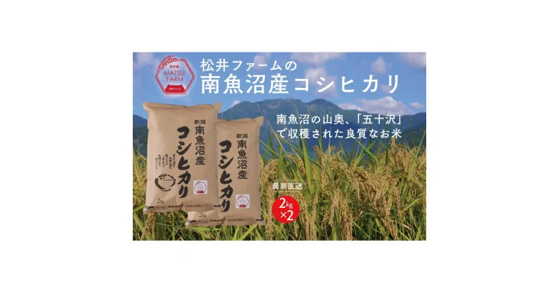 【ふるさと納税】令和6年産　南魚沼産コシヒカリ（4kg) | お米 こめ 白米 食品 人気 おすすめ 送料無料