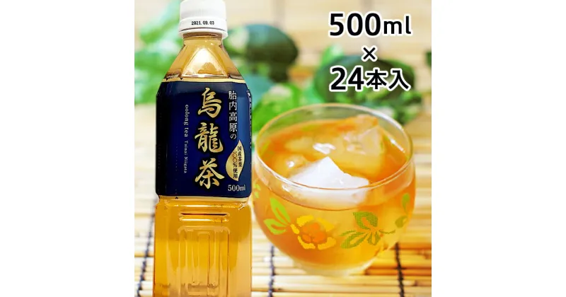 【ふるさと納税】0114　胎内高原の烏龍茶　500ml×24本入