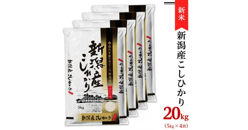 【ふるさと納税】令和6年 新米 米 20kg 5kg×4袋 新潟こしひかり 白米 K201新潟県産コシヒカリ20kg（5kg×4袋）