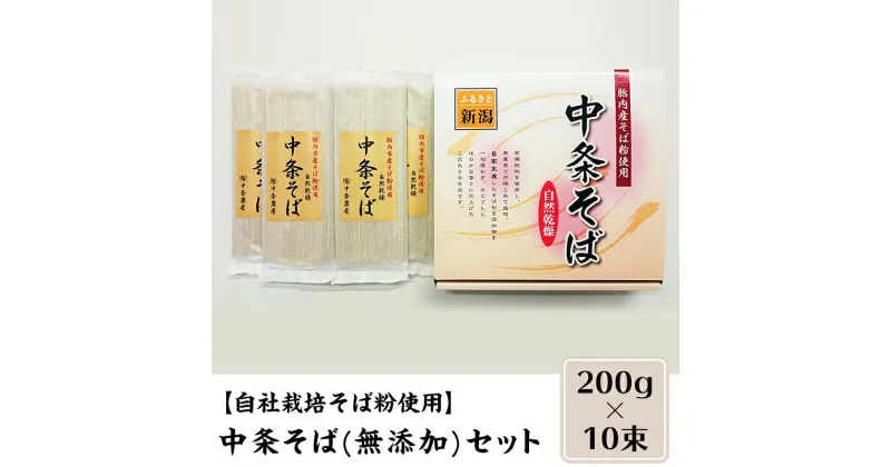 【ふるさと納税】0132　【自社栽培そば粉使用】中条そば(無添加)セット