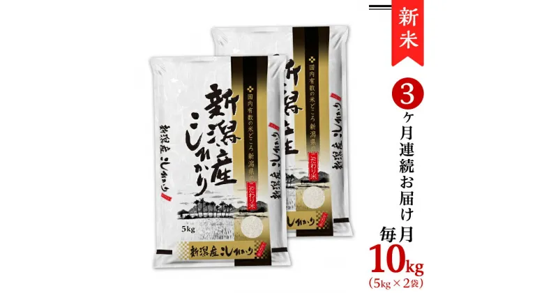 【ふるさと納税】令和6年 新米 米 定期便 10kg 5kg×2袋 新潟こしひかり 白米 K103【3ヶ月連続お届け】新潟県産コシヒカリ10kg（5kg×2袋）