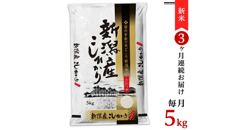 【ふるさと納税】令和6年 新米 米 定期便 5kg 新潟こしひかり 白米 K53【3ヶ月連続お届け】新潟県産コシヒカリ5kg