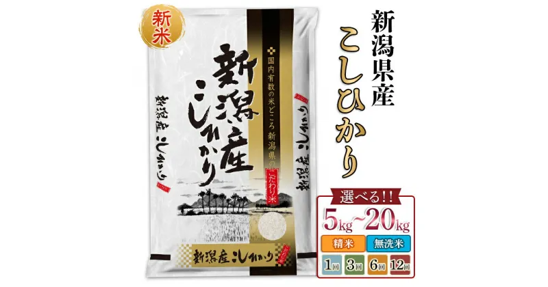 【ふるさと納税】米 無洗米 定期便 5kg 10kg 新潟 コシヒカリ 精米 白米 お米 選べる 1回 3回 6回 12回 3ヶ月 6ヶ月 12ヶ月 新潟こしひかり 新潟県産コシヒカリ（サンヴィリッジ新潟）