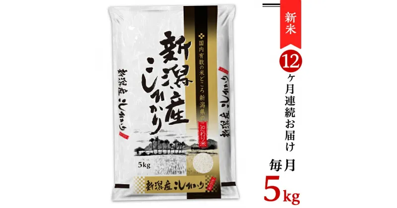 【ふるさと納税】令和6年 新米 米 定期便 5kg 12ヶ月 新潟こしひかり 白米 K512【12ヶ月連続お届け】新潟県産コシヒカリ5kg